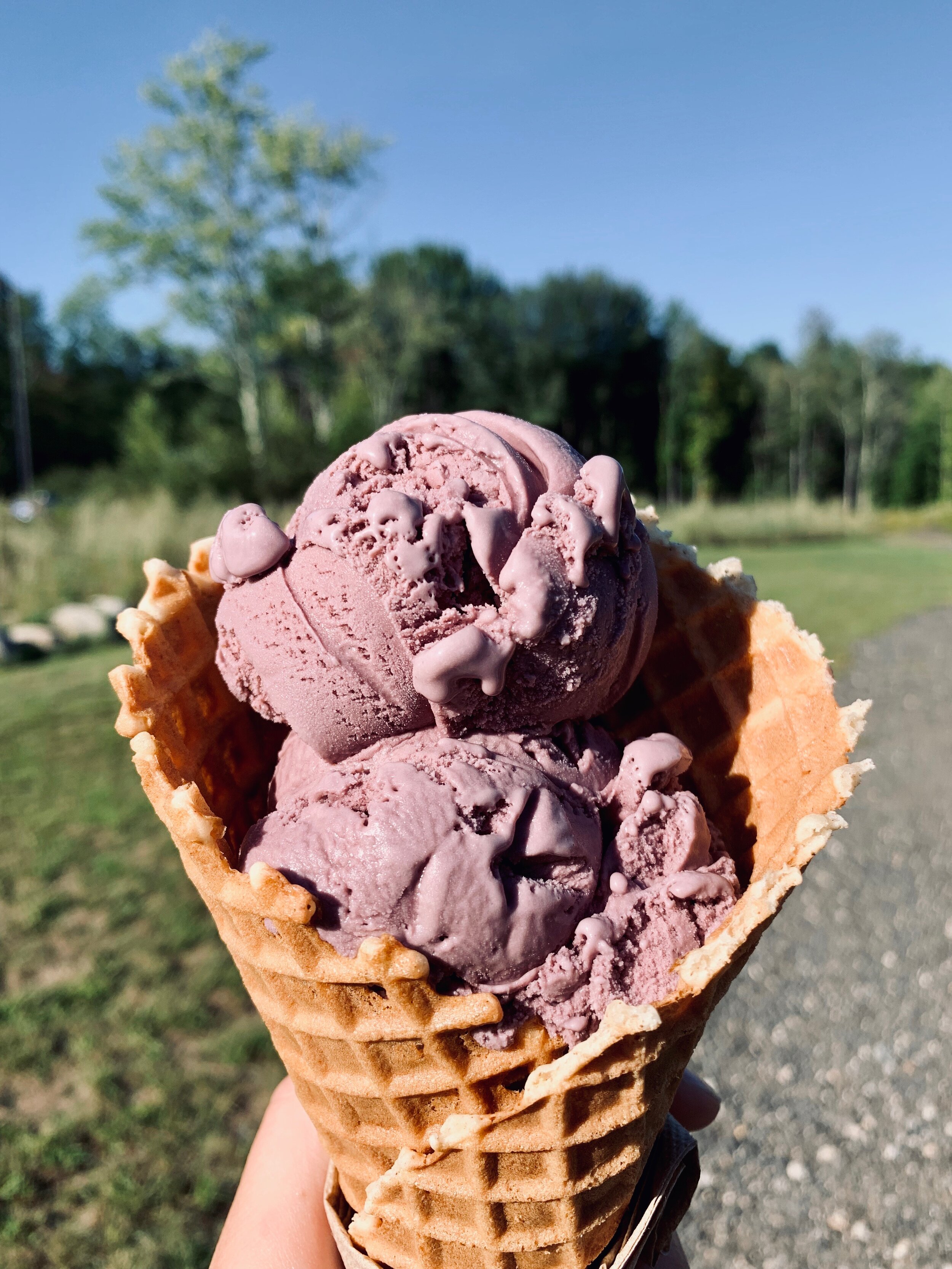 Ice cream day 2020 deals